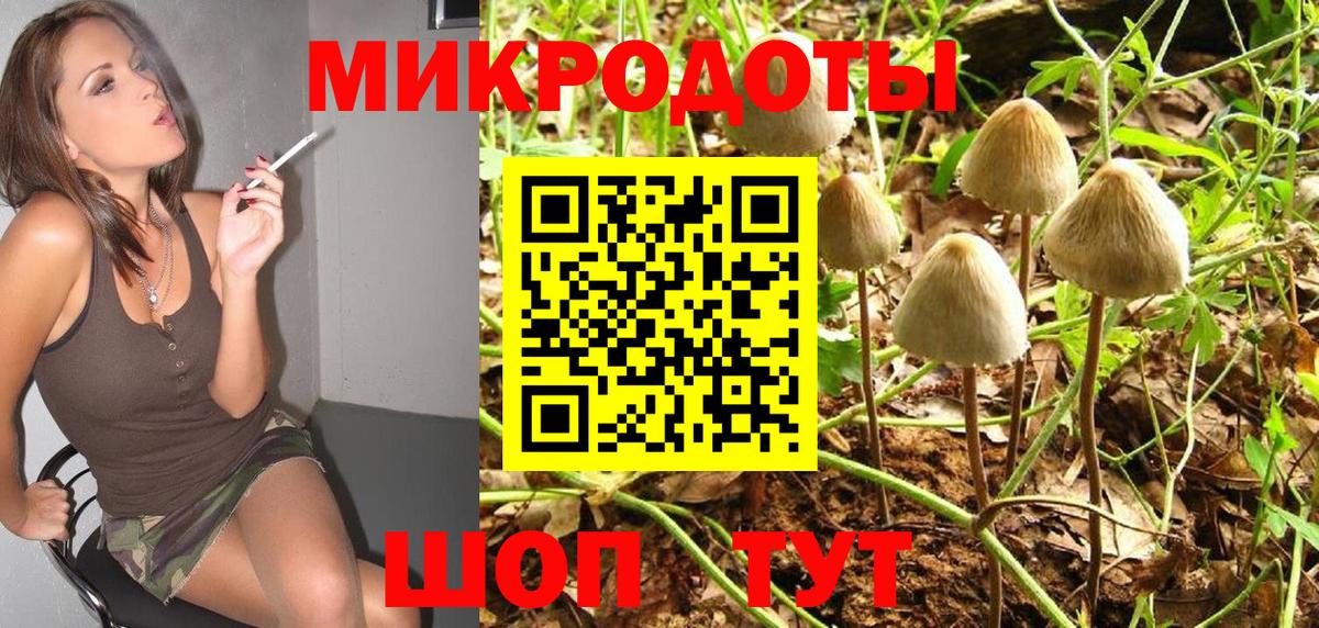 Псилоцибиновые грибы Cubensis Крымск